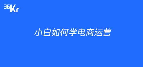 电商小白20天速成记