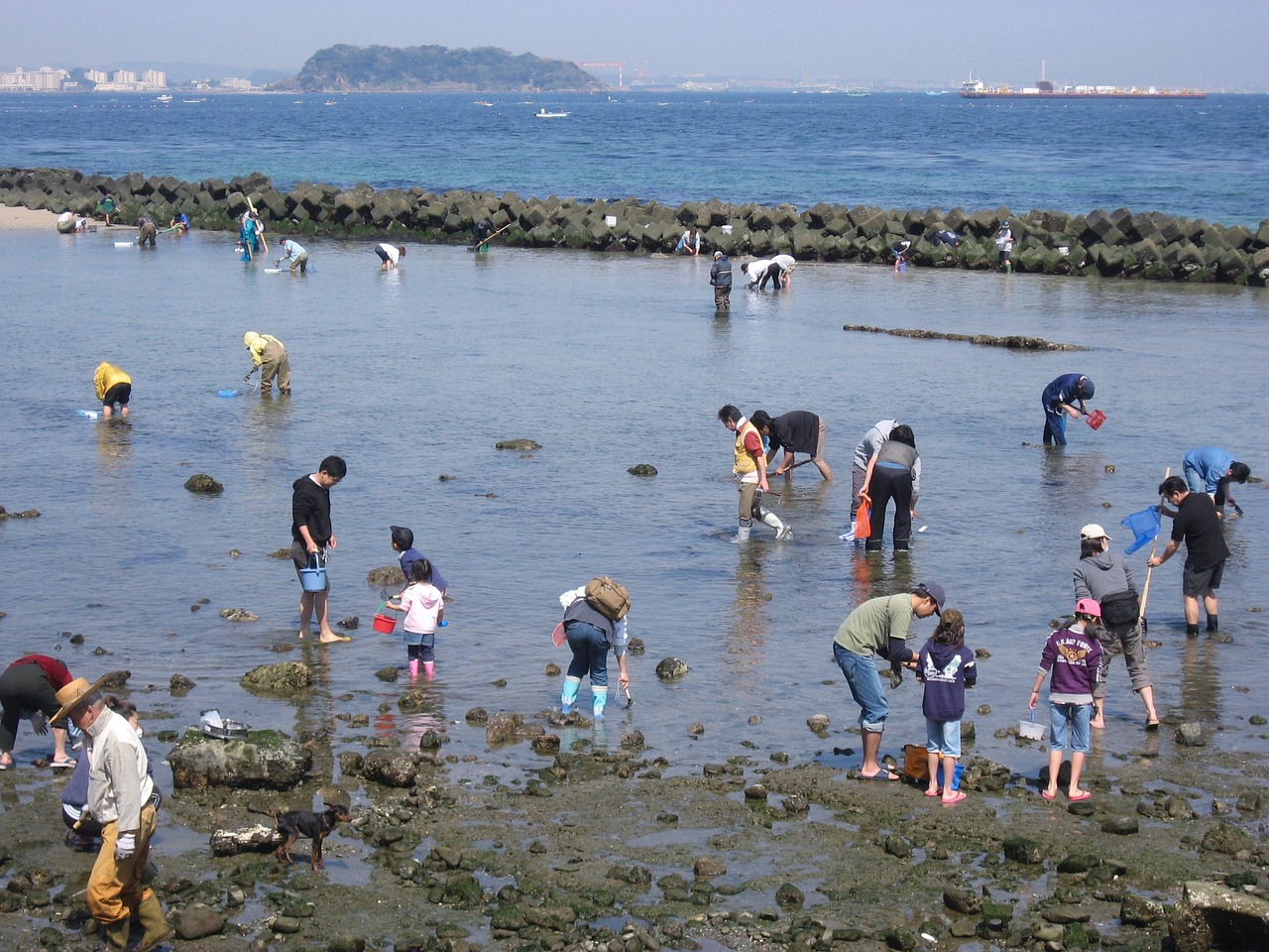 中国游客济州岛烧伤事件