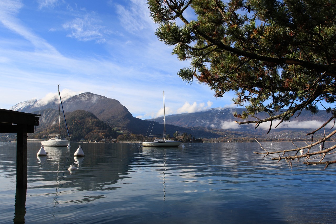 鼎湖山旅游攻略学生