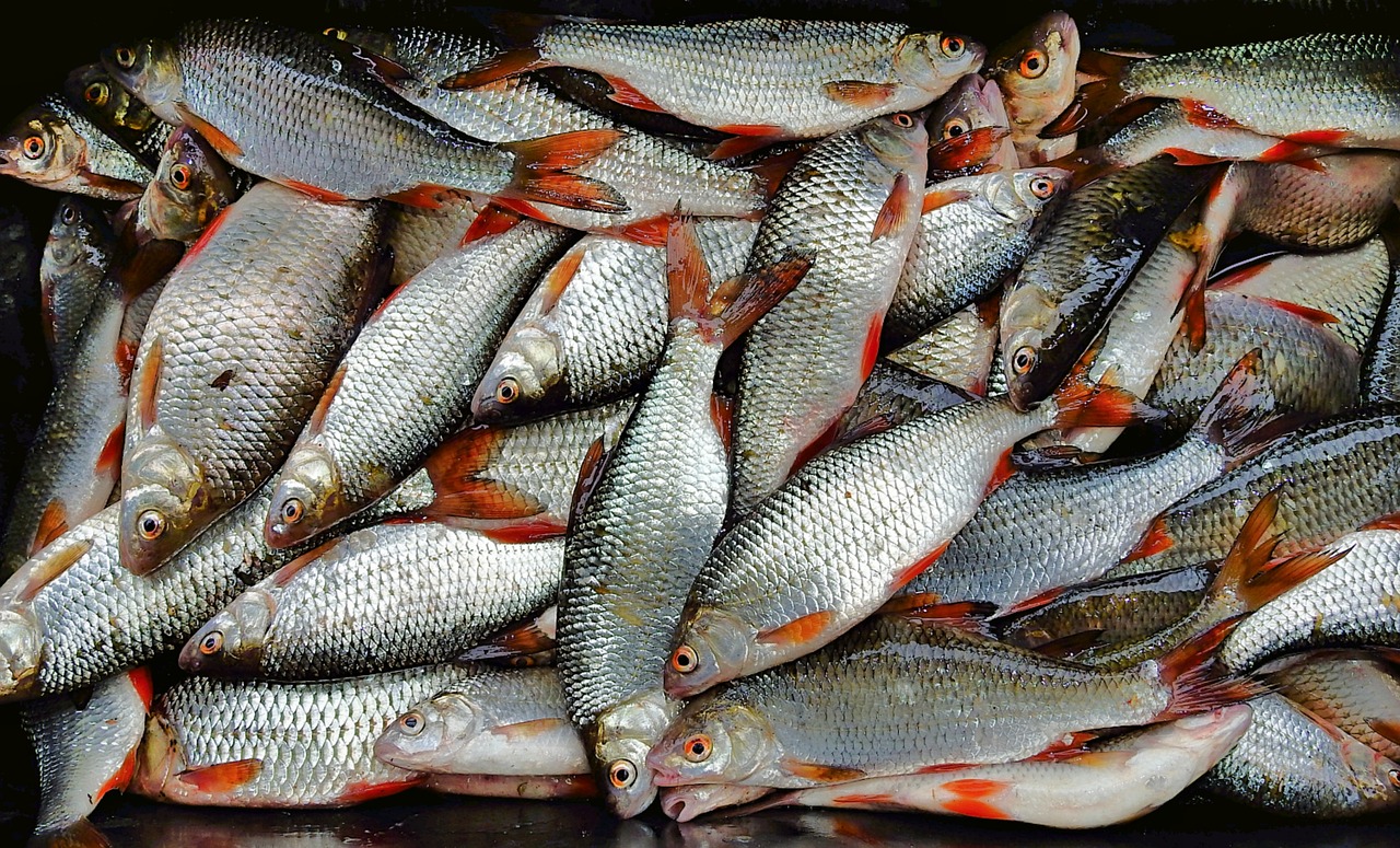 雅安上里古镇特色美食